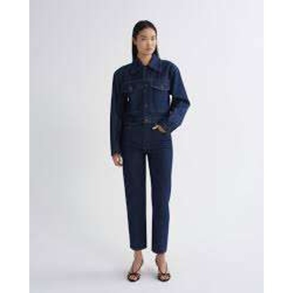 Agolde 90's Pinch Waist Dark Wash Blue Cropped 5 Pocket Jeans Size 32